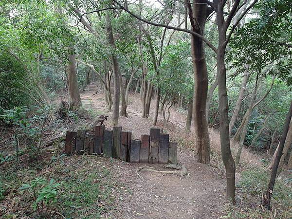 金面山、剪刀石山 (48).JPG