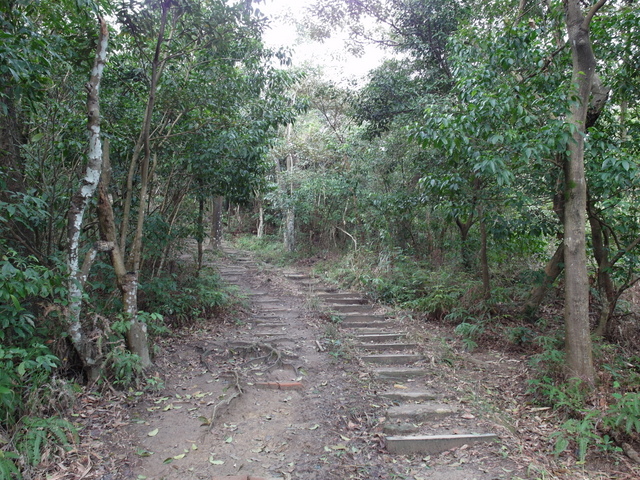 金面山、剪刀石山 (51).JPG