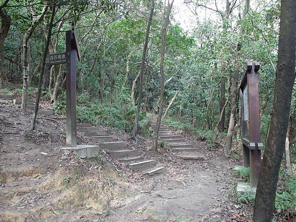 金面山、剪刀石山 (52).JPG