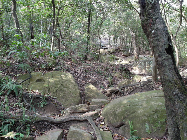 金面山、剪刀石山 (55).JPG