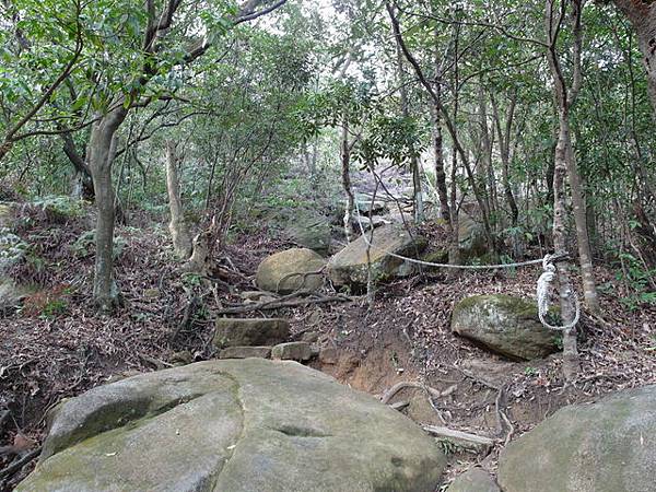 金面山、剪刀石山 (56).JPG