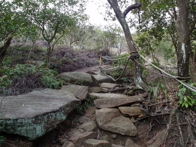 金面山、剪刀石山 (57).JPG