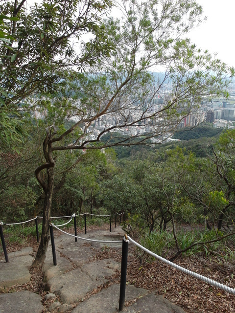 金面山、剪刀石山 (80).JPG