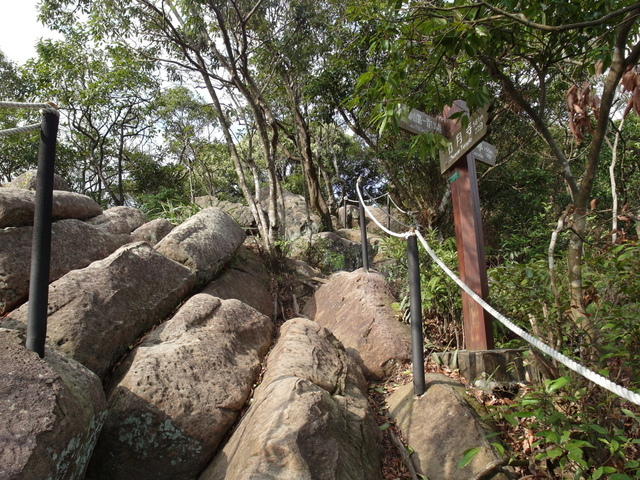 金面山、剪刀石山 (84).JPG