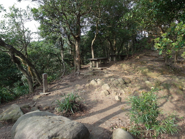 金面山、剪刀石山 (94).JPG