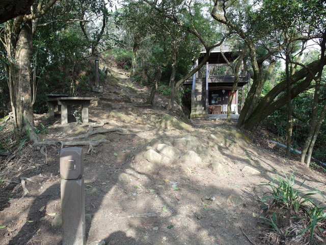 金面山、剪刀石山 (95).JPG