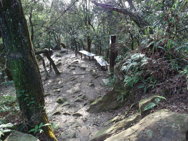 金面山、剪刀石山 (104).JPG