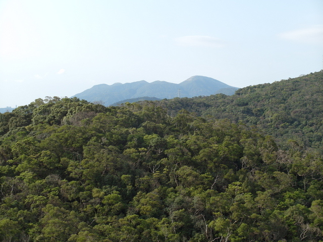 金面山、剪刀石山 (109).JPG