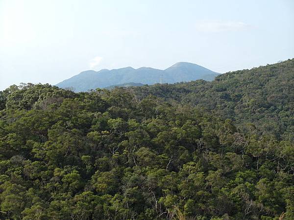 金面山、剪刀石山 (122).JPG