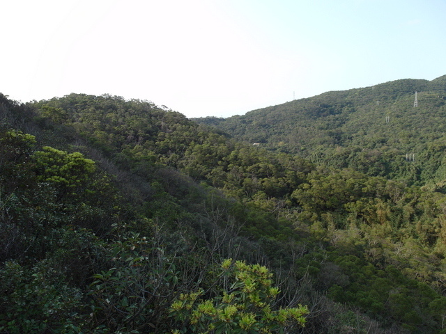 金面山、剪刀石山 (147).JPG