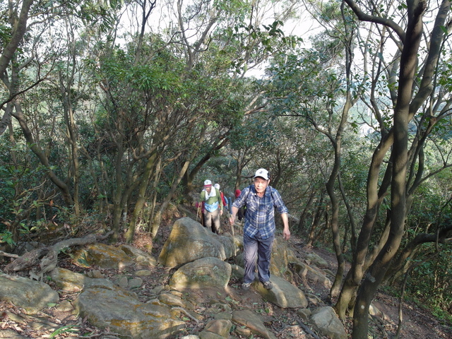 金面山、剪刀石山 (150).JPG