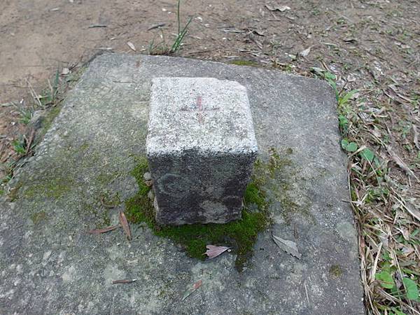 金面山、剪刀石山 (169).JPG