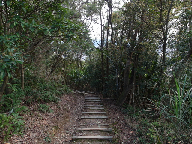 金面山、剪刀石山 (171).JPG