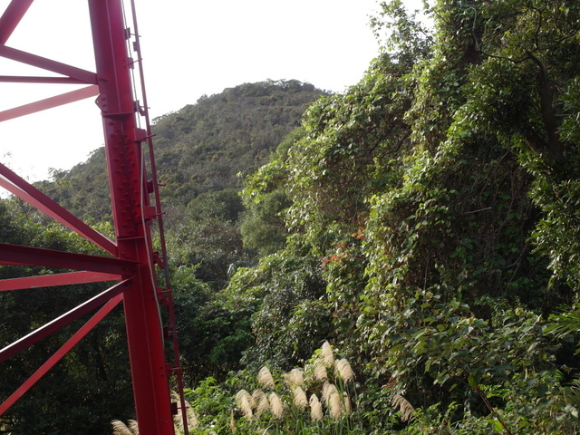 金面山、剪刀石山 (178).JPG