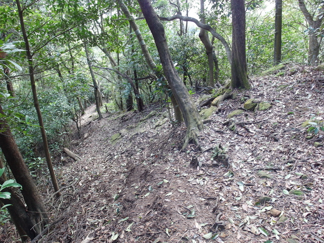 金面山、剪刀石山 (181).JPG