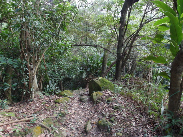 金面山、剪刀石山 (183).JPG