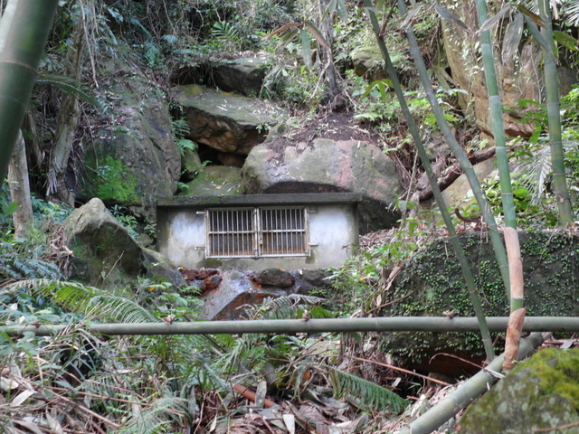 金面山、剪刀石山 (190).JPG