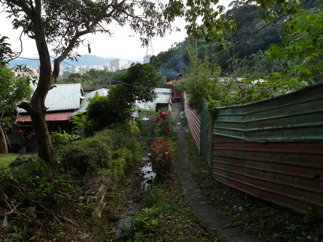 金面山、剪刀石山 (198).JPG