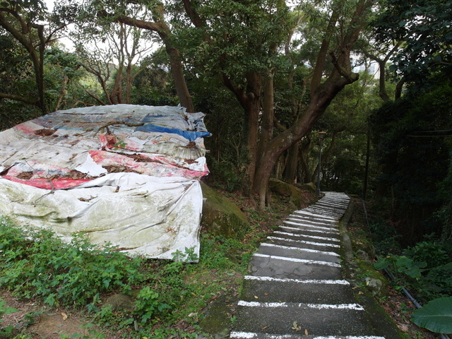 金面山、剪刀石山 (204).JPG