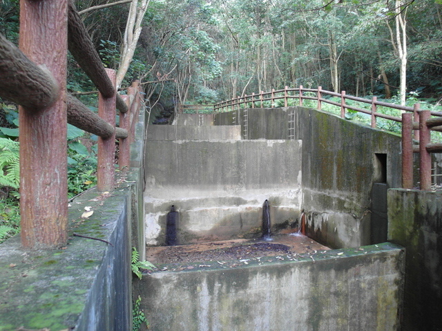 金面山、剪刀石山 (219).JPG