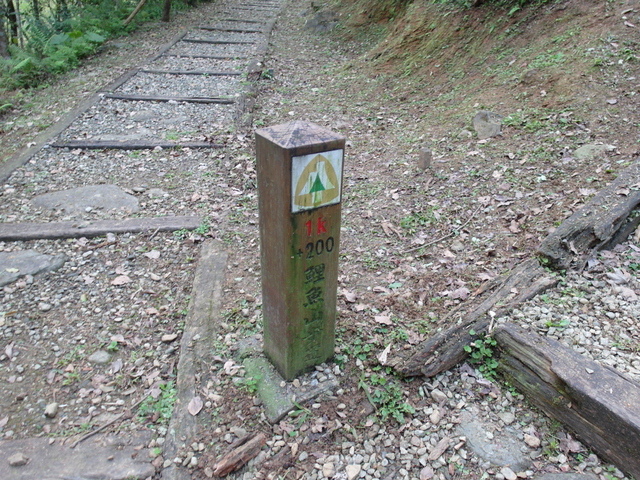 鯉魚山步道 (27).JPG