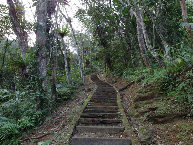 鯉魚山步道 (37).JPG