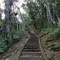 鯉魚山步道 (37).JPG