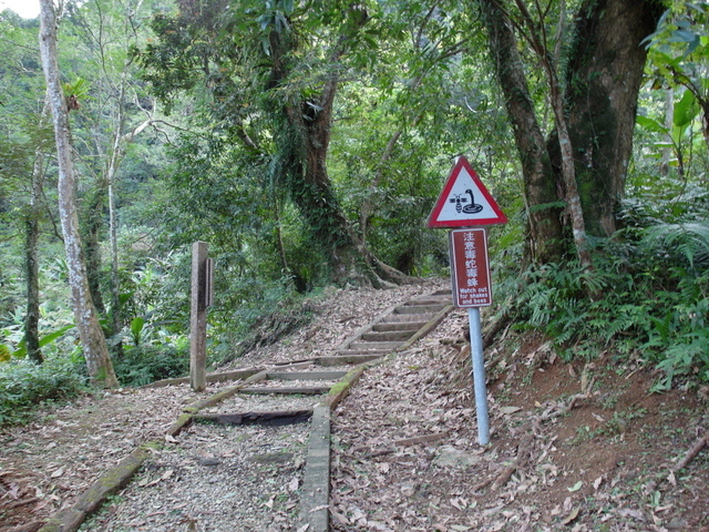 鯉魚山步道 (40).JPG