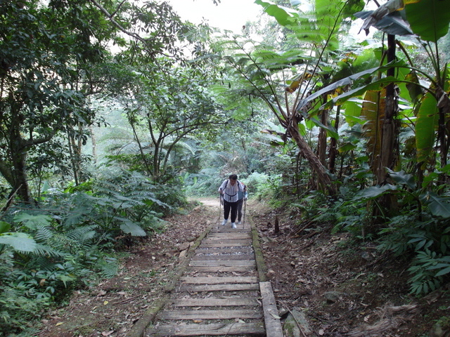 鯉魚山步道 (44).JPG