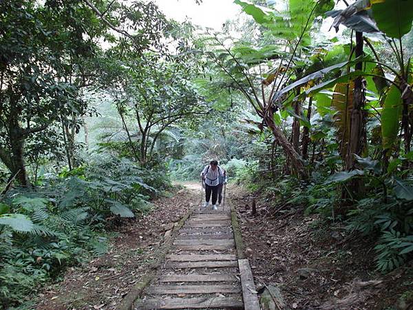 鯉魚山步道 (44).JPG