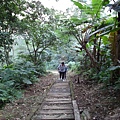 鯉魚山步道 (44).JPG