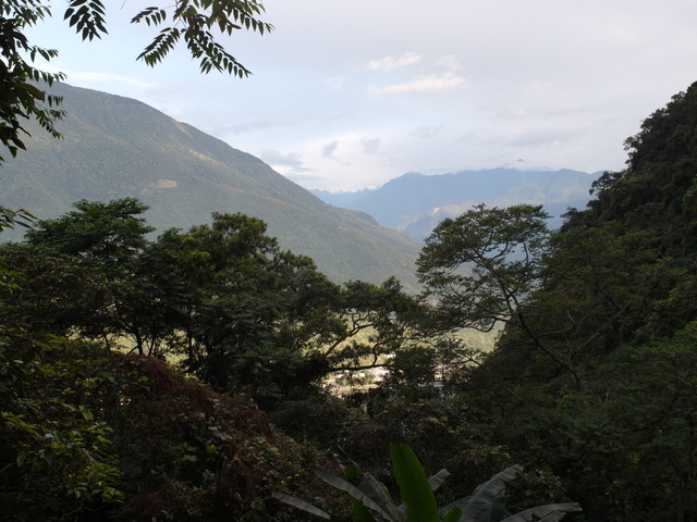 鯉魚山步道 (46).JPG