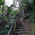 鯉魚山步道 (71).JPG