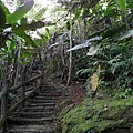 鯉魚山步道 (74).JPG