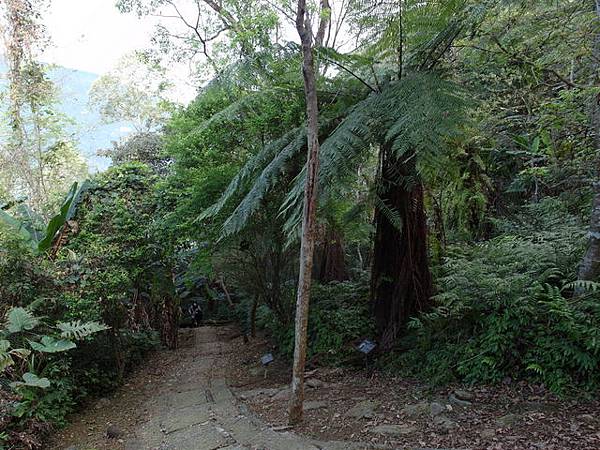 鯉魚山步道 (80).JPG