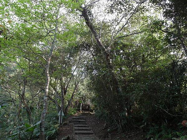 鯉魚山步道 (84).JPG