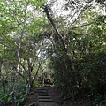 鯉魚山步道 (84).JPG