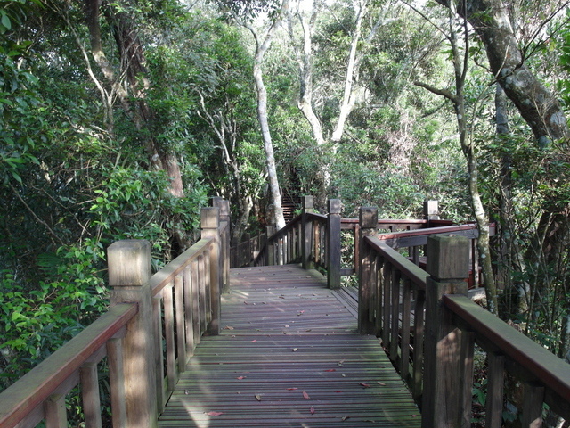 鯉魚山步道 (93).JPG