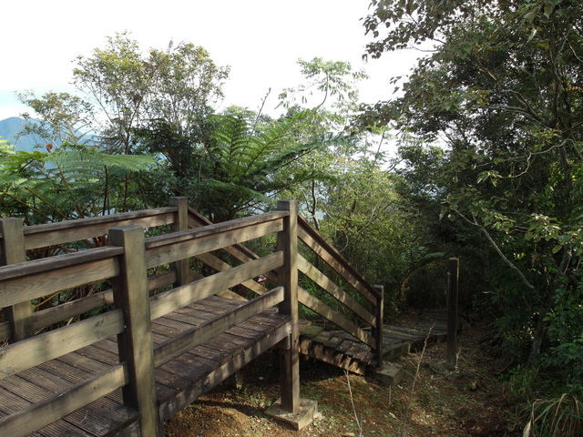 鯉魚山步道 (104).JPG