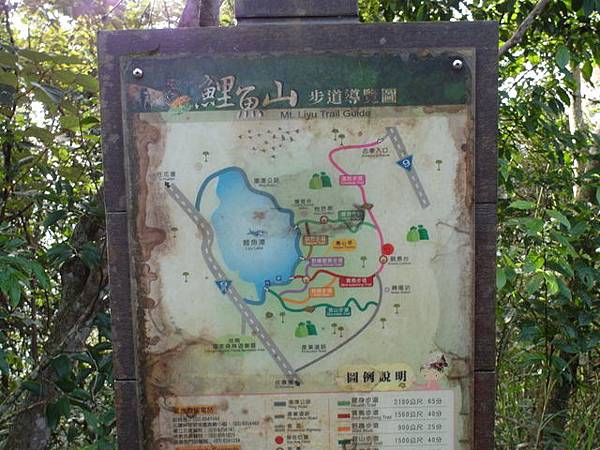 鯉魚山步道 (118).JPG