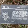 鯉魚山步道 (120).JPG