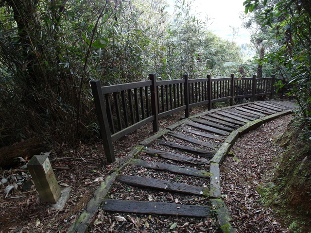 鯉魚山步道 (122).JPG