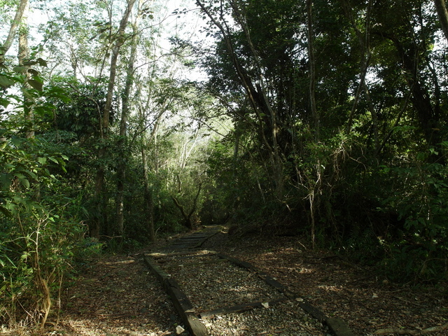 鯉魚山步道 (131).JPG