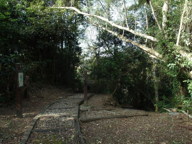 鯉魚山步道 (132).JPG