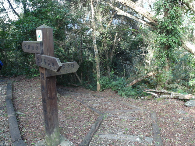 鯉魚山步道 (133).JPG