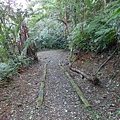 鯉魚山步道 (135).JPG