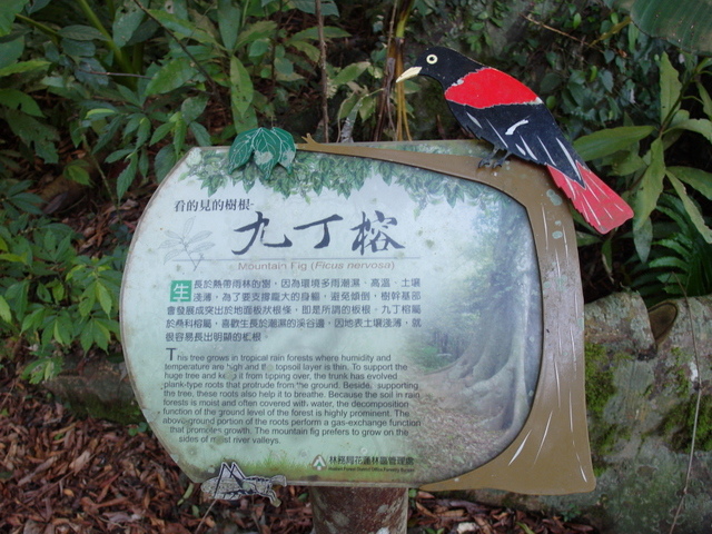 鯉魚山步道 (138).JPG