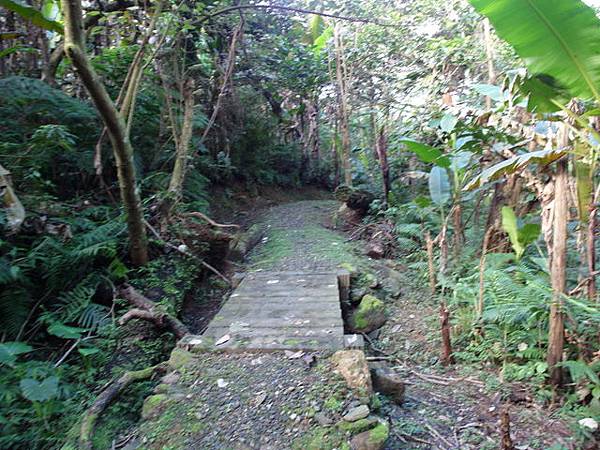 鯉魚山步道 (139).JPG