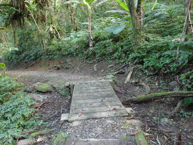 鯉魚山步道 (140).JPG