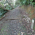 鯉魚山步道 (141).JPG